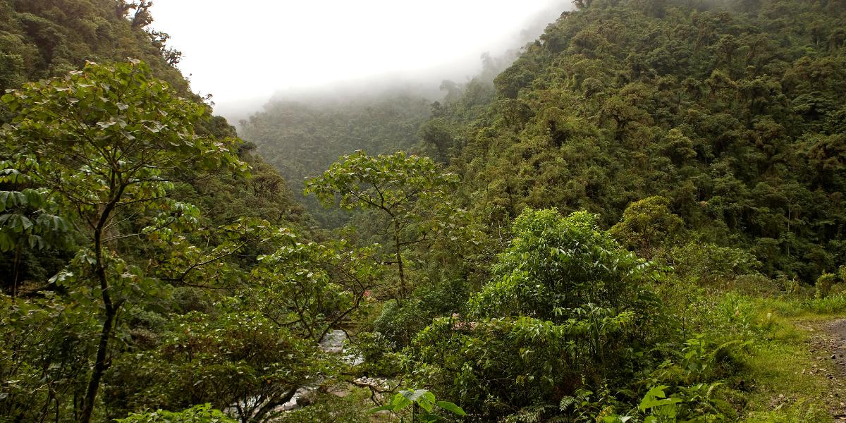 Bregal Sphere JS Banner