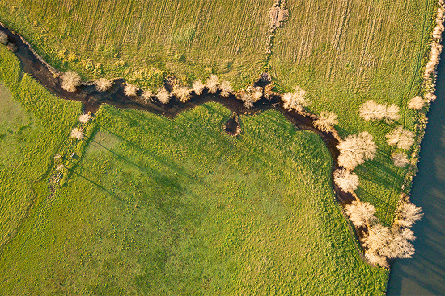 aerial image of a river running through fields